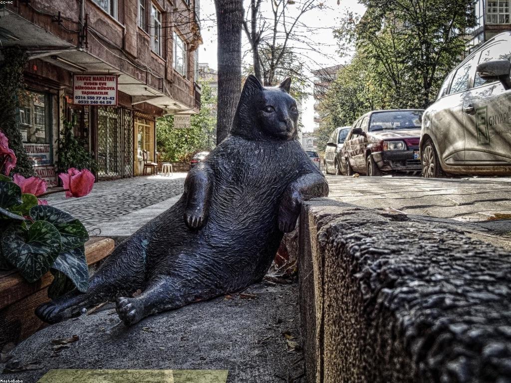 ααΆαα
α»ααααααα’αα‘αΆα: ααα αΆαααααΌαααααΆααααΆαααα½αααΆαααααΆαααα